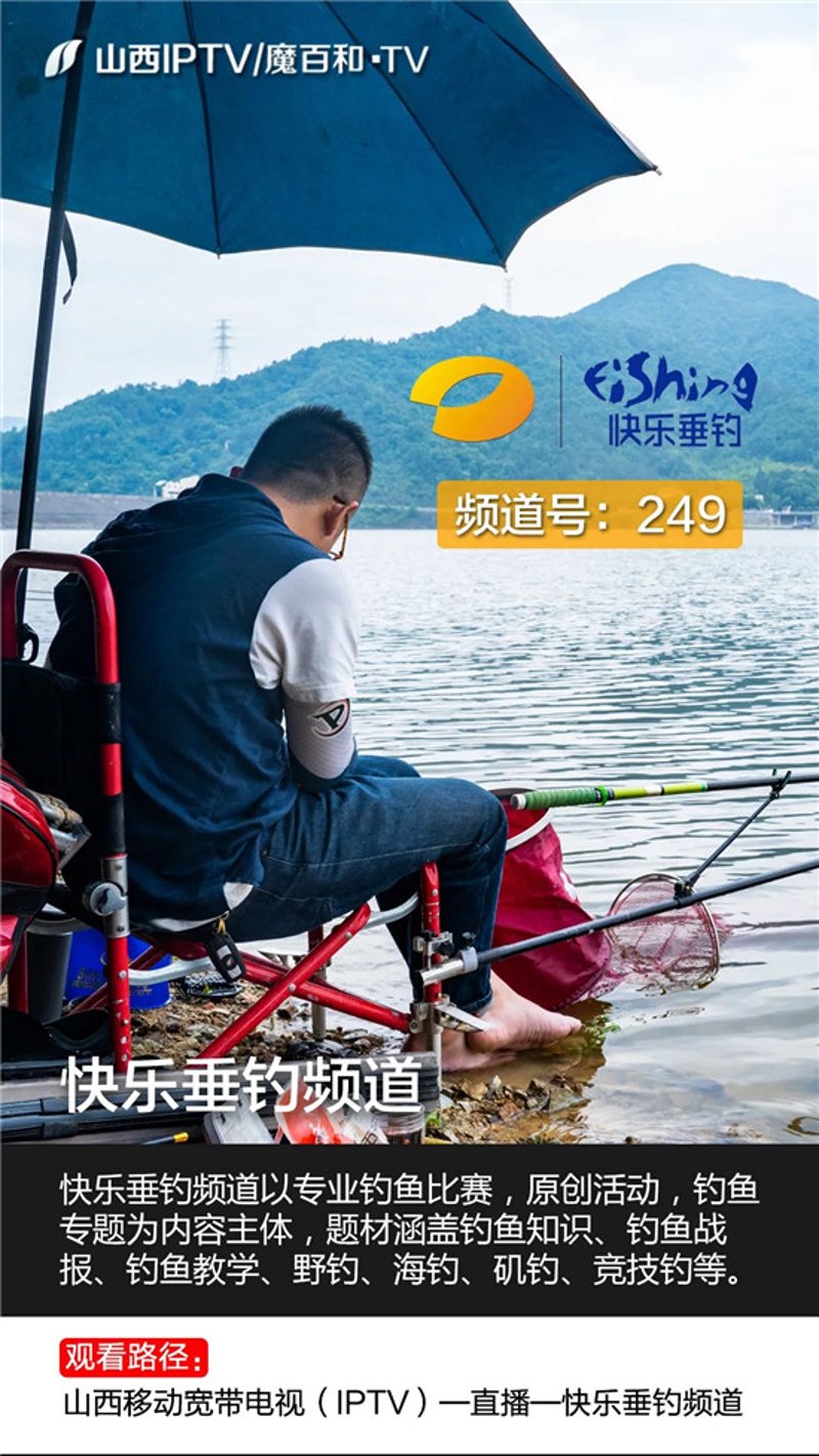 如何自制优质鱼饵？掌握这五个步骤
