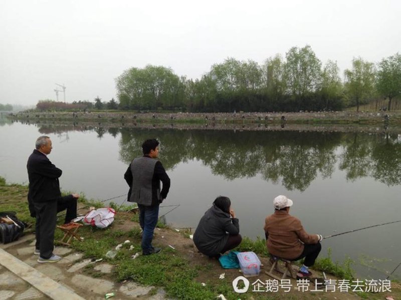 掌握钓鱼的诀窍，让你轻松成为高手！