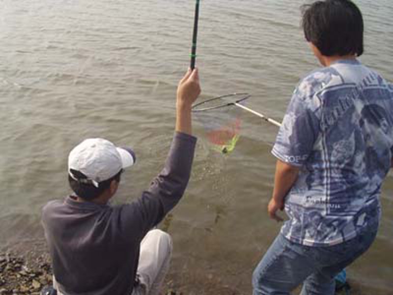 鱼饵配方大揭秘：传统与创新的碰撞