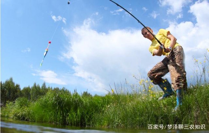 钓鱼技巧大揭秘——新手与老手都能受益的秘密武器